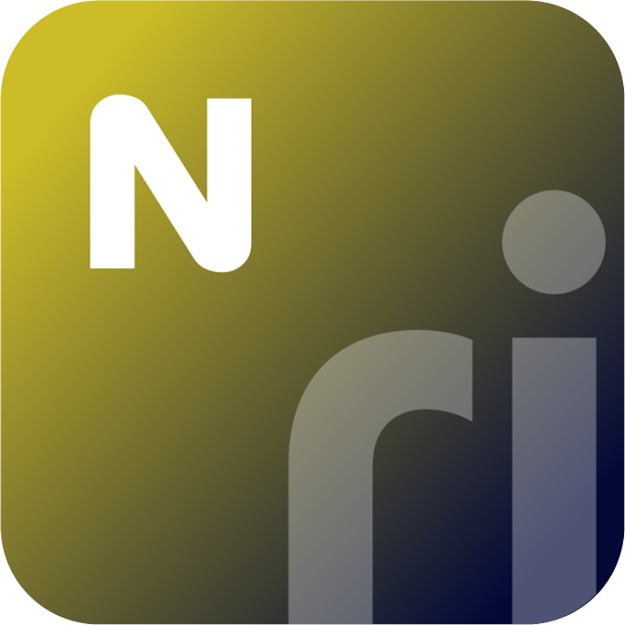Logo AIN